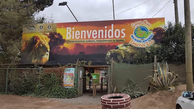 Casa Noé Mundo Animal - Image 1