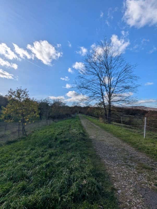 Hinweistafel "Große Allee" - Image 2