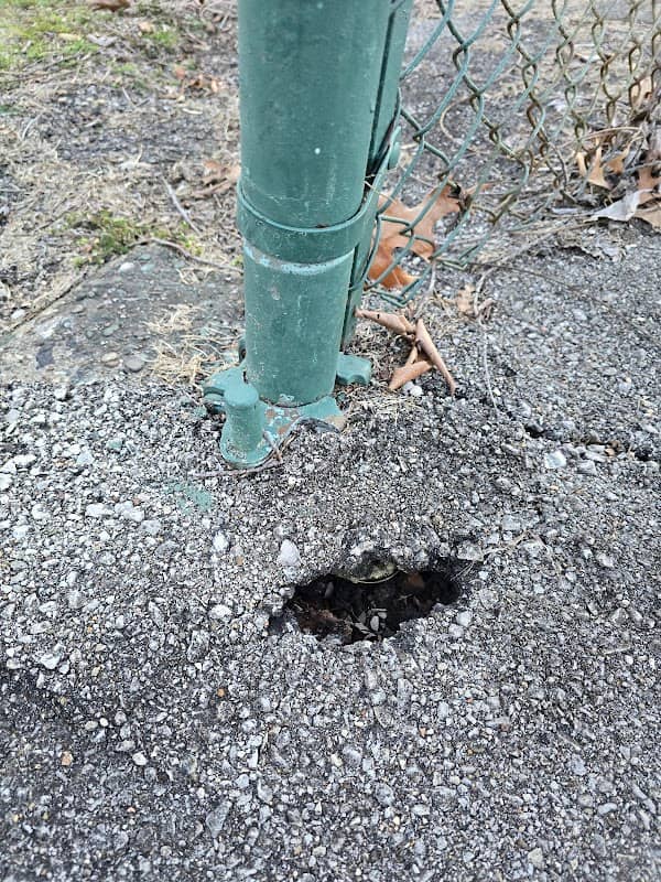 Throckmorton Park - Image 1