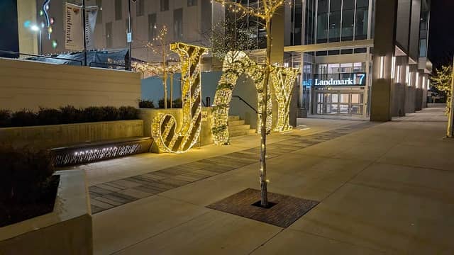 Tree of Hope Light Installation - Image 2
