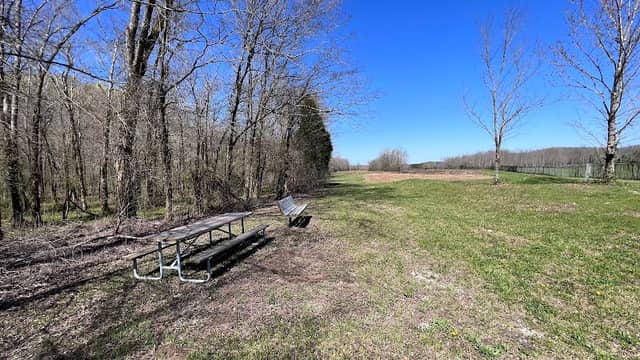 Mystery Park - Image 1