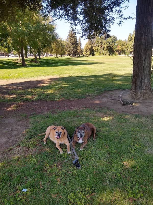 Streng Park - Image 2