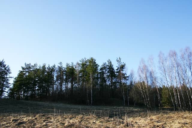 Tolimėnų piliakalnis - Image 1