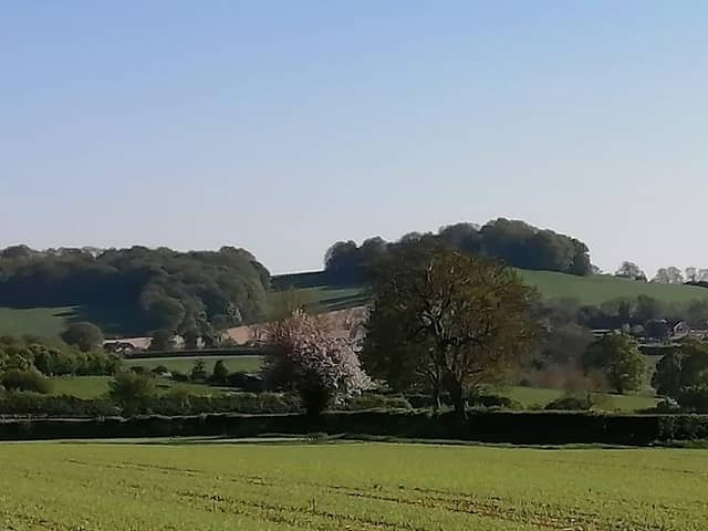 Kentle Wood - Image 2