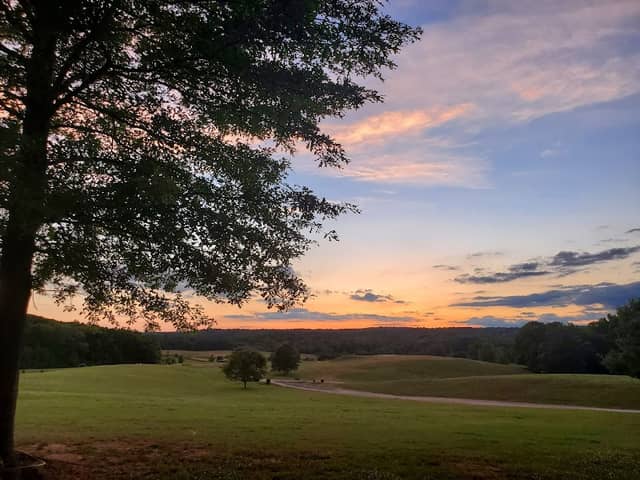 Chattahoochee Hills Show Facility - Image 2