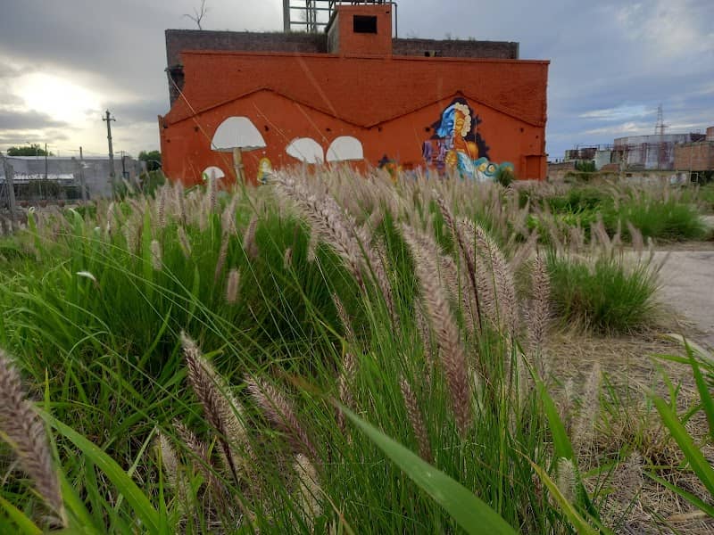 Democracia Park - Image 2