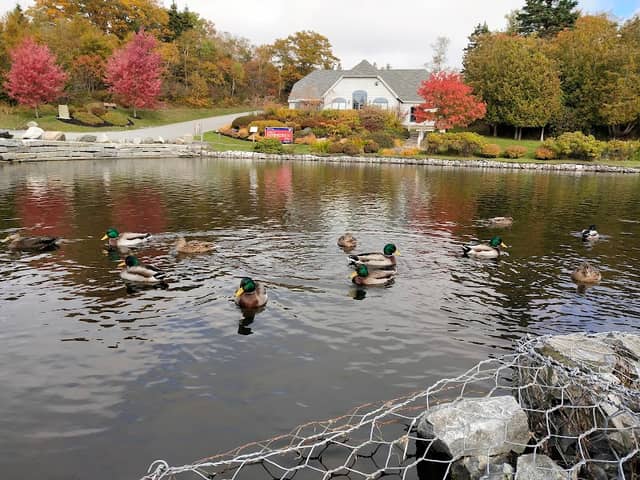 Rockwood Park - Image 3