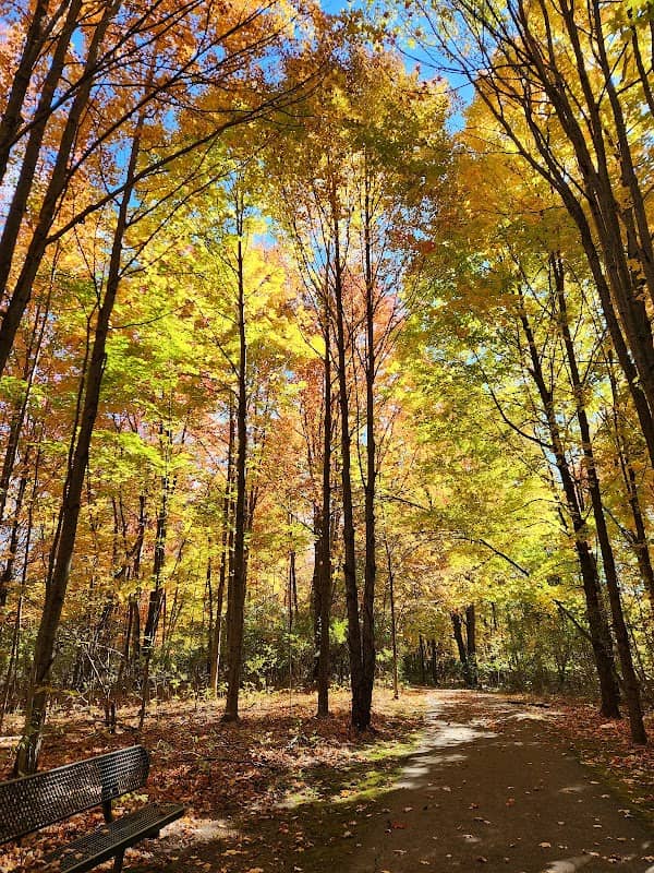 Stanaback Park - Image 2