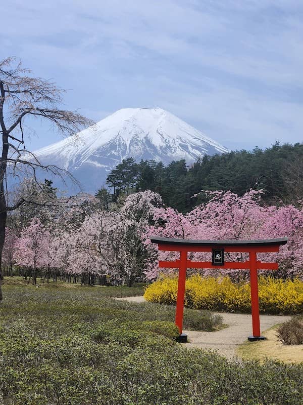 Ninjutsu Shinto no Michi - Image 1
