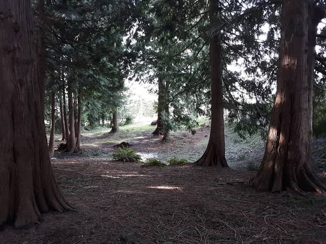 Church Creek Park - Image 1