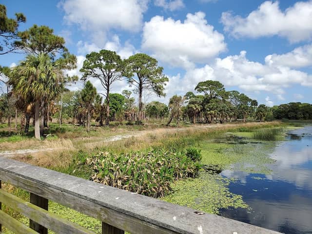 Winding Waters Natural Area - Image 2