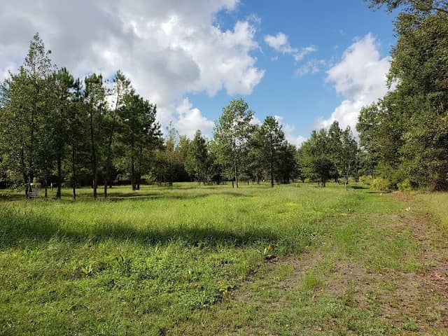 Ayden District Inclusive Park - Image 2