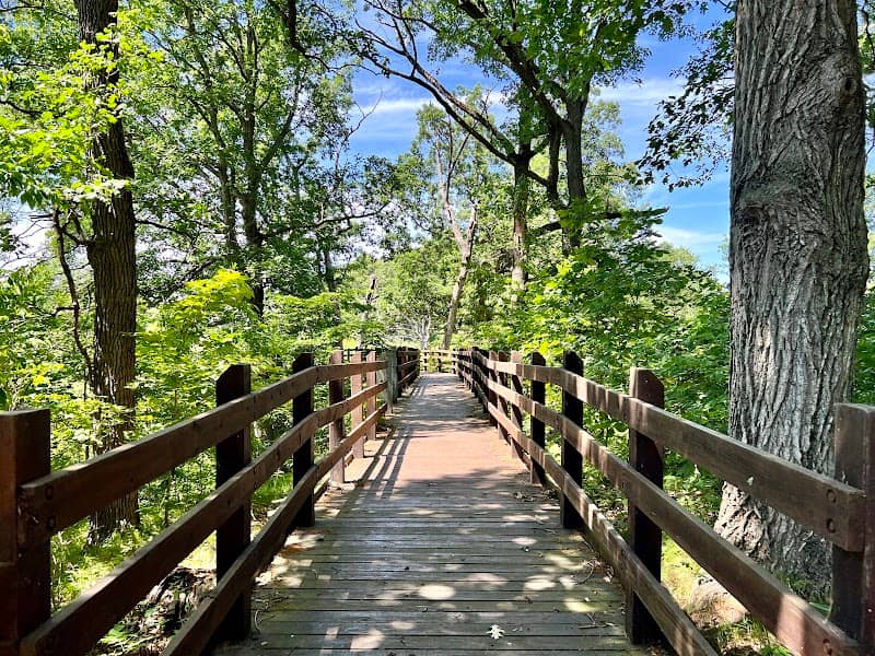 Pisgah Marsh Boardwalk - Image 3