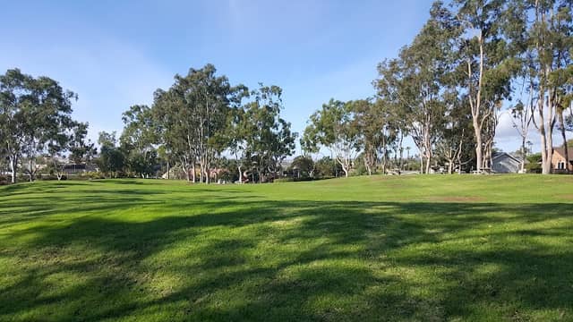 Sunset Park - Image 3