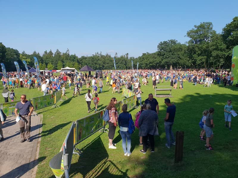Bisonveld - Image 2