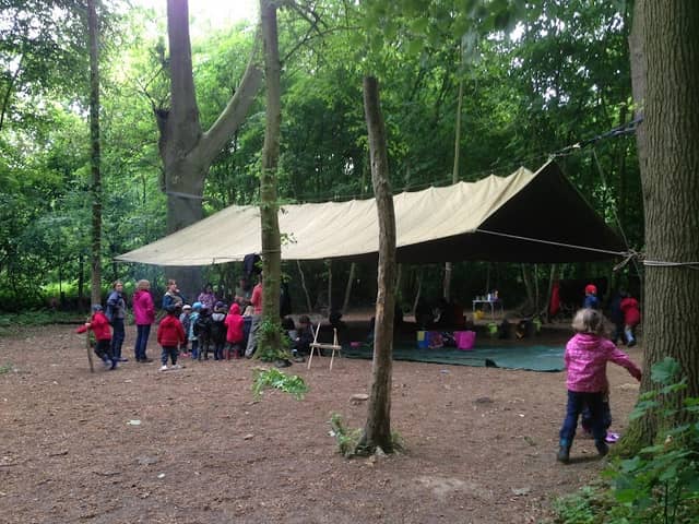 hidden woods - Image 1