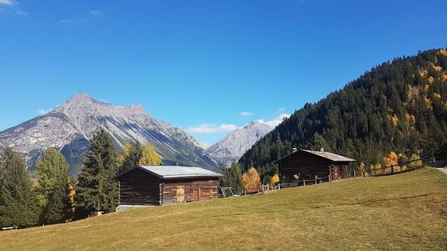 Pezzel - Image 2