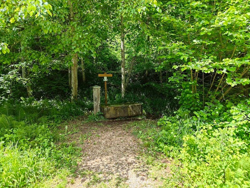 Landoltbrunnen - Image 1