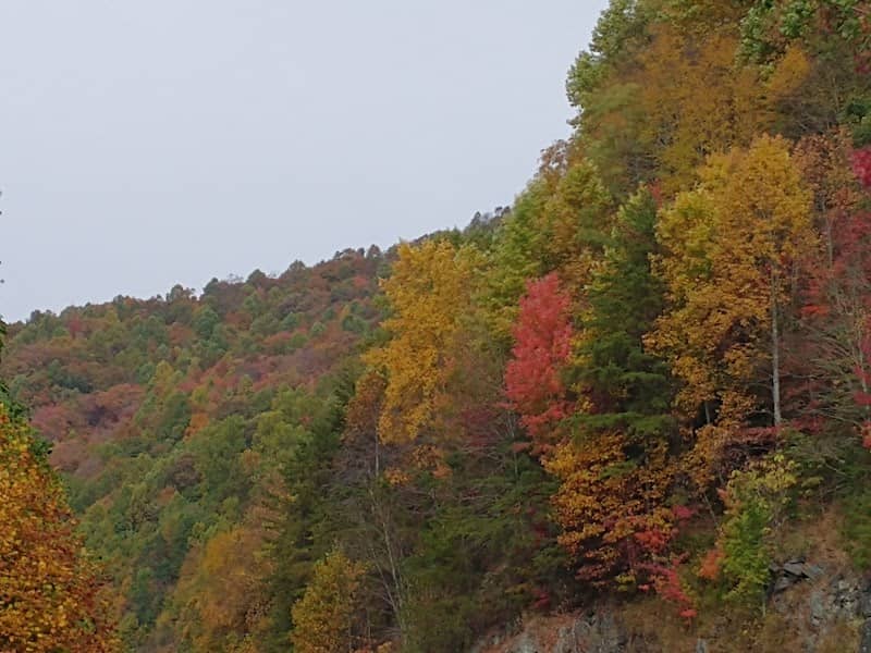 Shooting Creek Scenic Overlook - Image 2