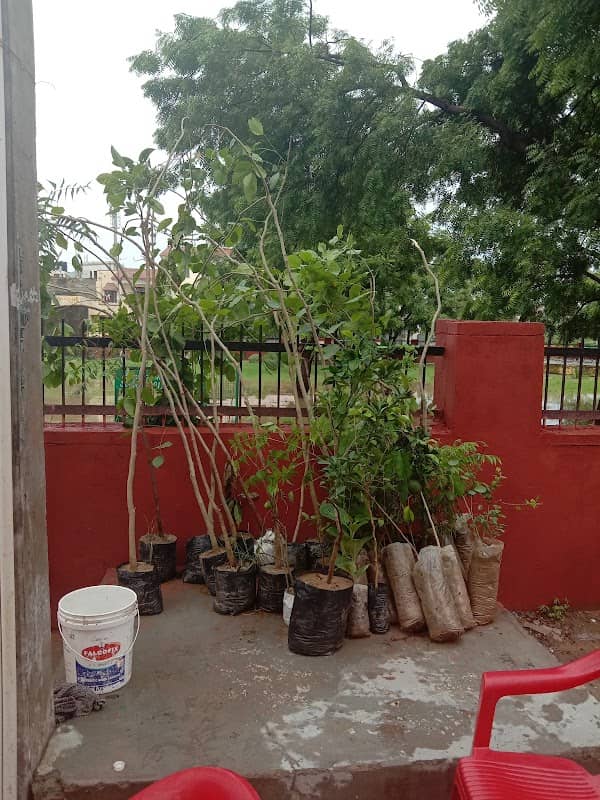 Pratap Nagar First park - Image 1