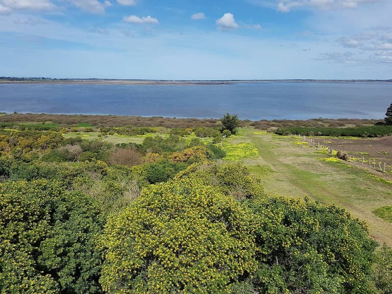 Lake Connewarre Reserve - Image 1