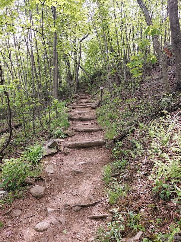 Meadow Spring Trail - Image 2