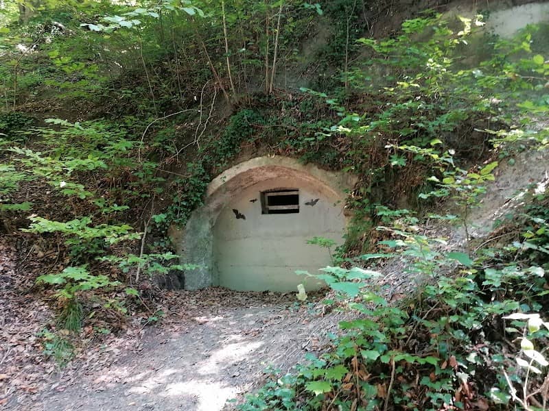 Sandsteinhöhlen - Image 2