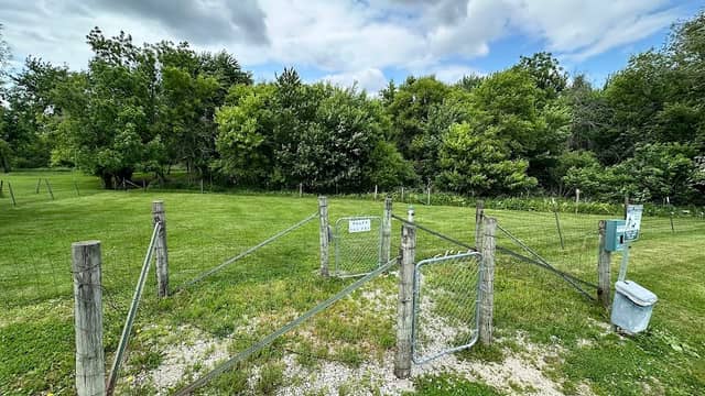 Dog park - Image 1