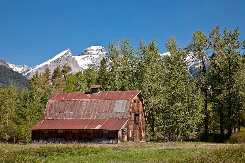 Community farm - Image 1
