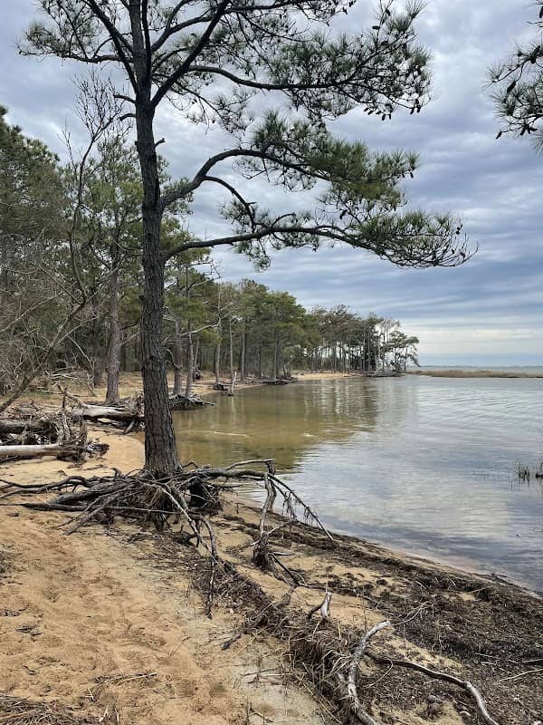 River Road Park - Image 2