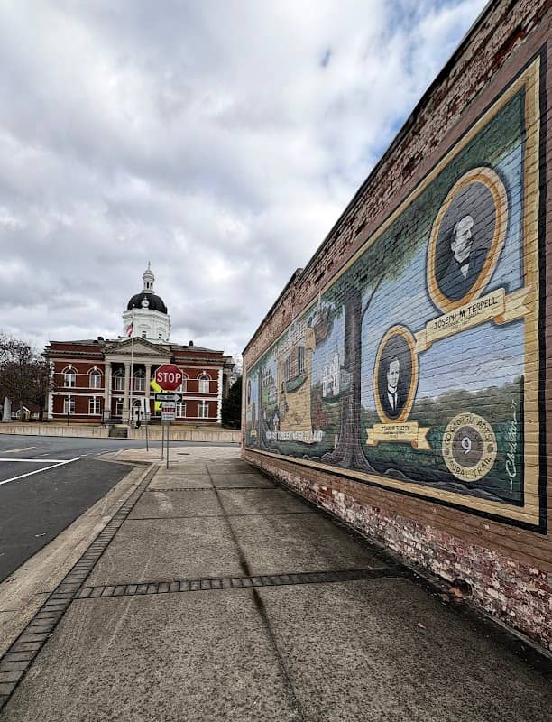 Greenville GA Mural - Image 2