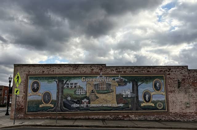 Greenville GA Mural - Image 1