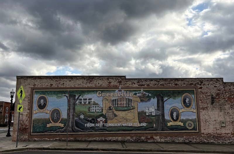 Greenville GA Mural - Image 1