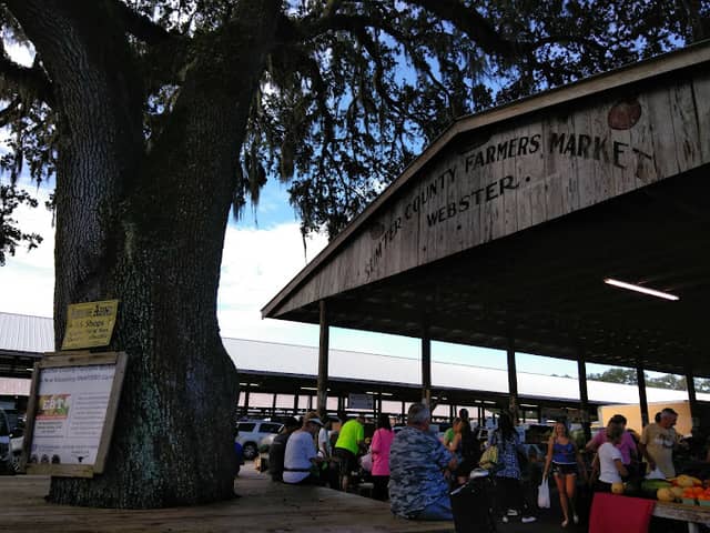 WEBSTER FLEA MARKET - SUMTER COUNTY FARMERS MARKET - Image 2