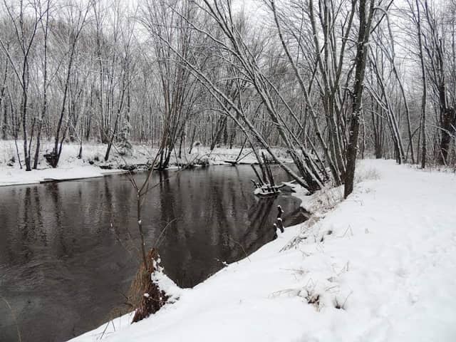 Langdon Park - Image 1