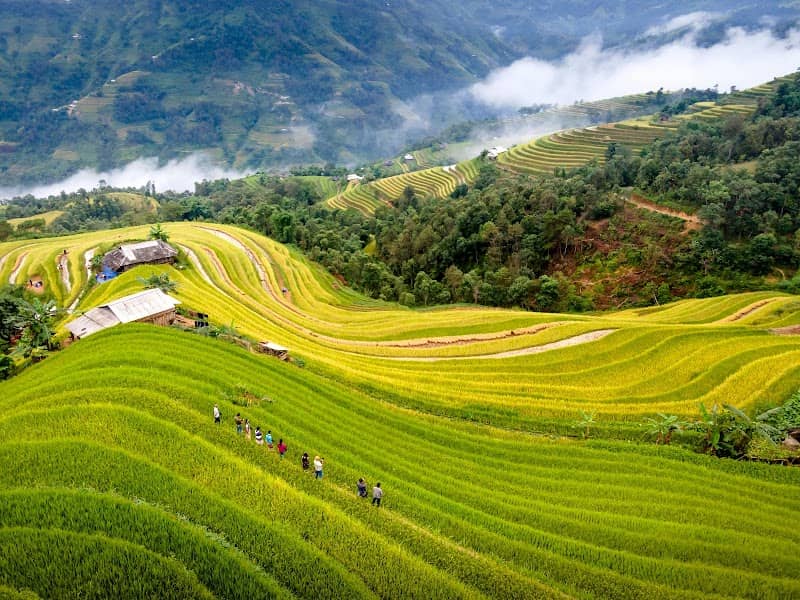 Banaue Rice Terraces - Image 1
