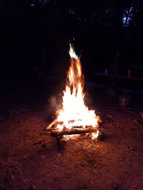 Turtle Bend, Camping and Events - Image 1