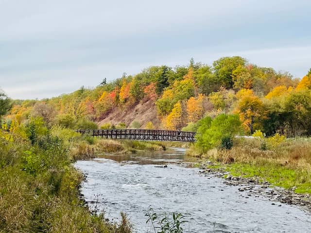 Lions Valley Park - Image 2