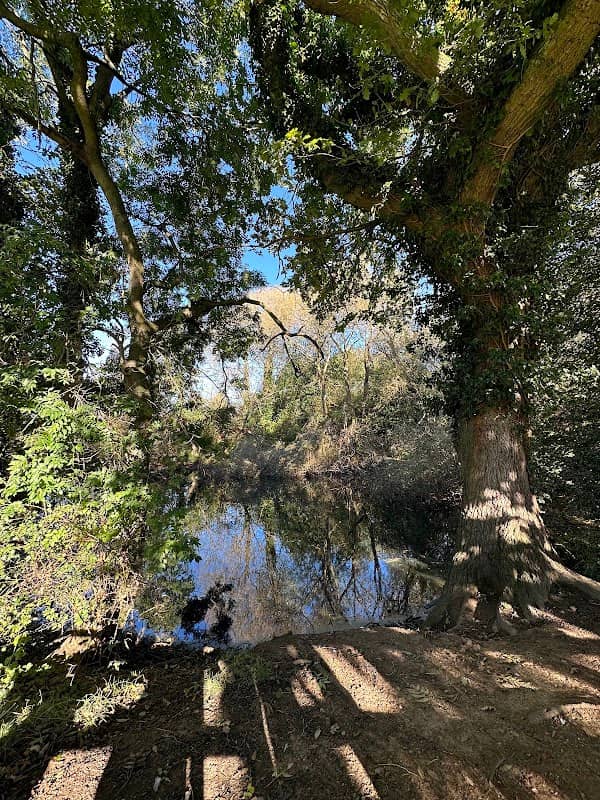 Cawston 'Old Farm' Pond - Image 1