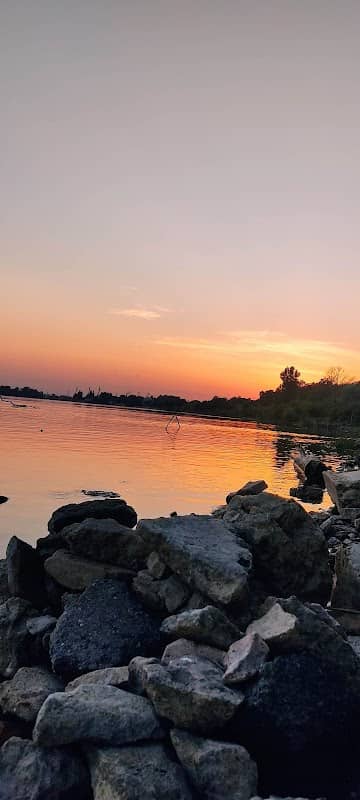 На берегу Дуная - Image 1