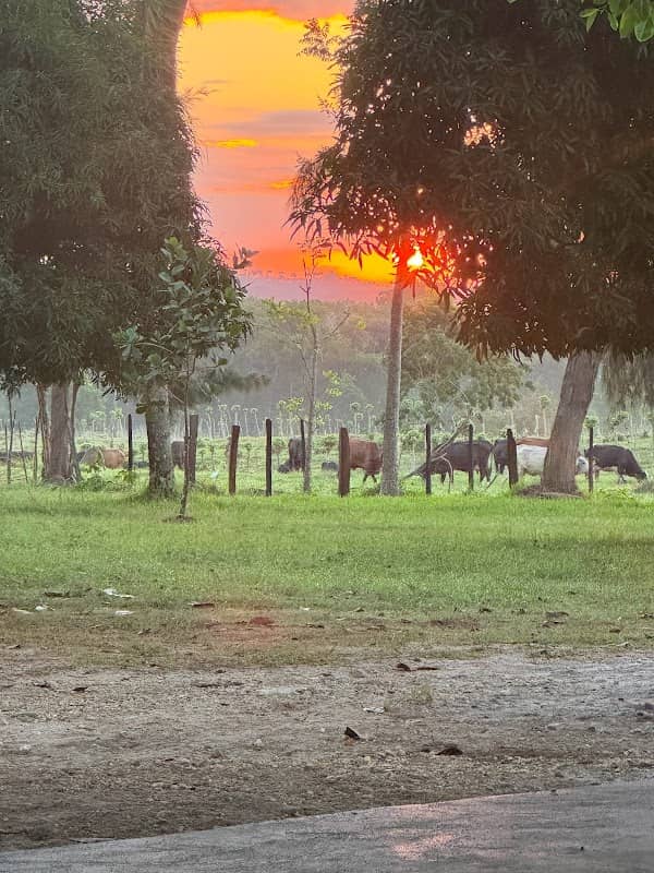 La Llanada de Cabrera - Image 2