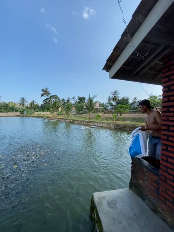 Dadang ikan - Image 1