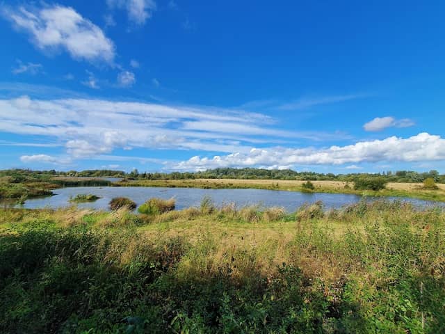 Willington Wetlands Nature Reserve - Image 1