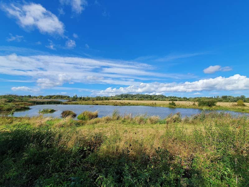 Willington Wetlands Nature Reserve - Image 1