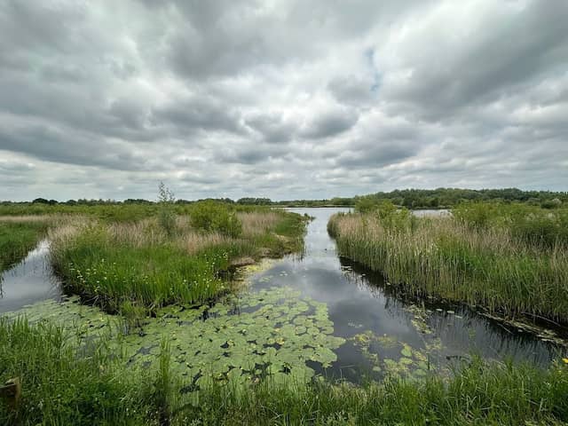 Willington Wetlands Nature Reserve - Image 2