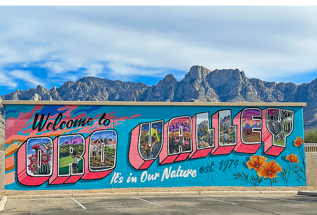 Welcome to Oro Valley Mural - Image 1