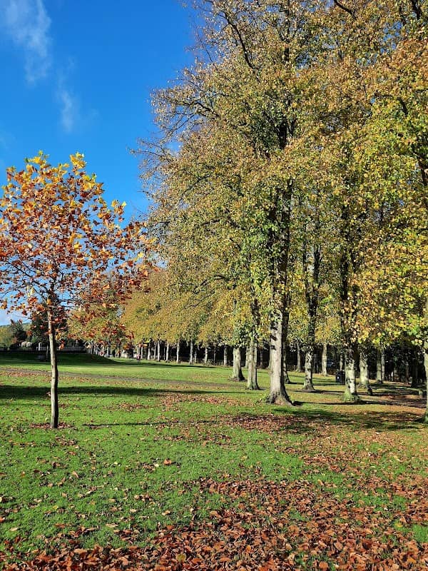 Yeoman Hill Park - Image 1