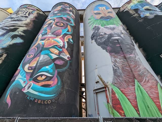 Graffiti Art 'Kings of Colors' - Image 1