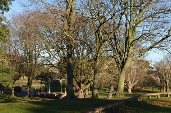 Ellington Park - Image 2