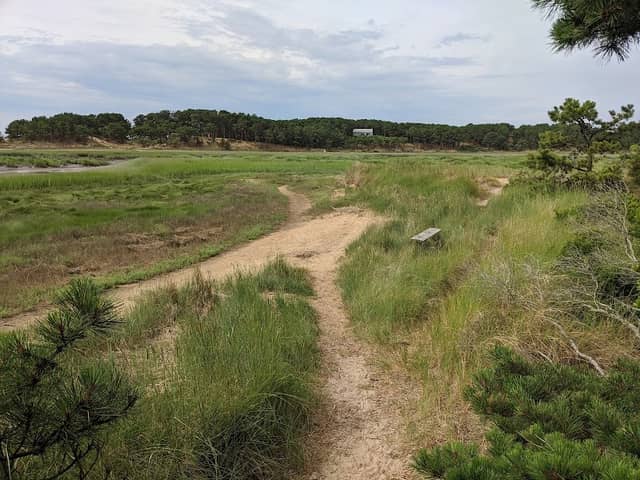 Pilgrim Spring Conservation Area - Image 2